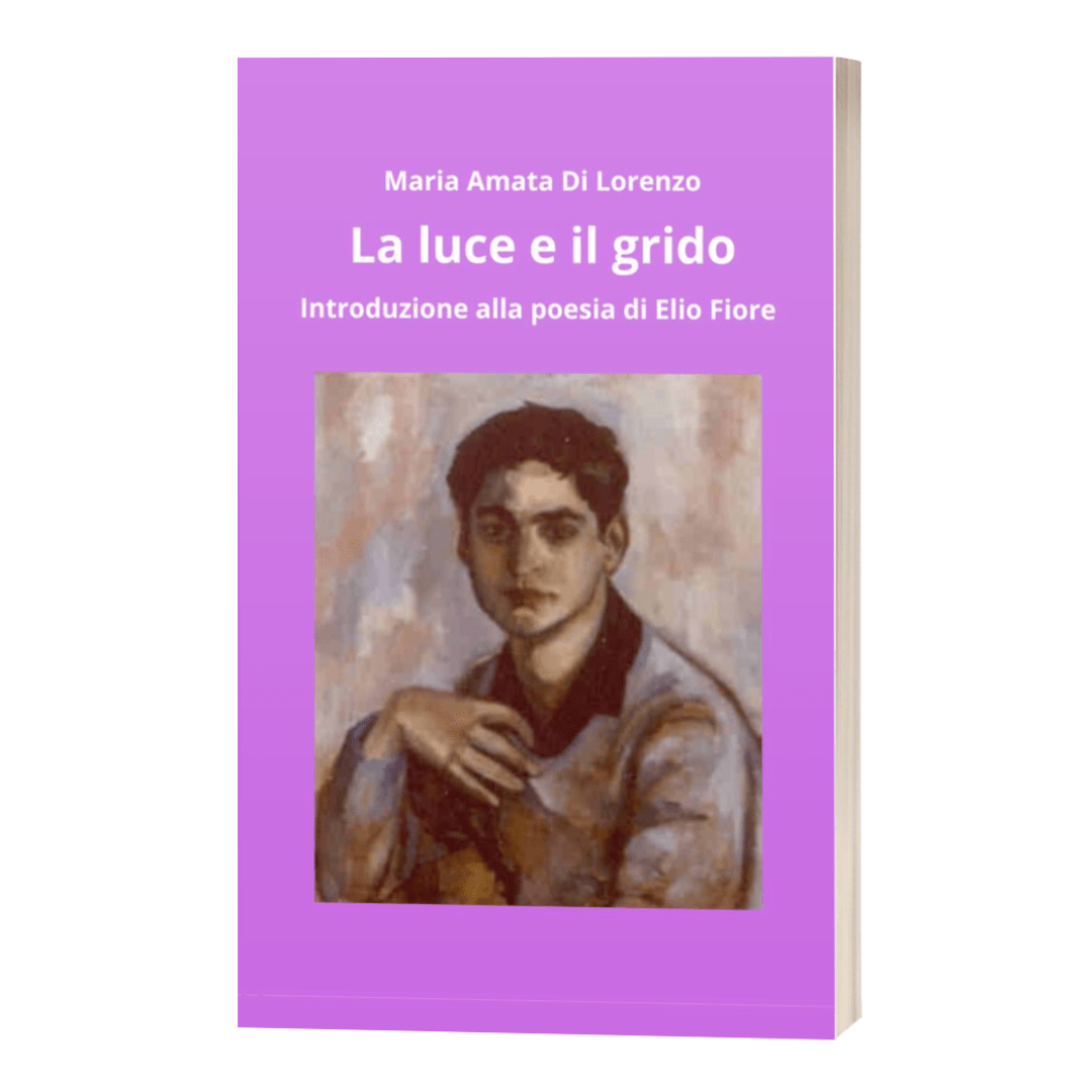 copertina del libro La luce e il grido